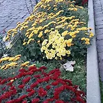 Holiday home Lux Guest Housе мukachevo