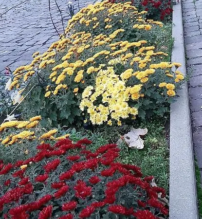 Feriehus Lux Guest Housе мukachevo