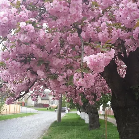 Lux Guest Housе мukachevo Mukatjevo