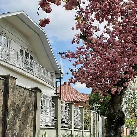 Lux Guest Housе мukachevo * Mukatjevo