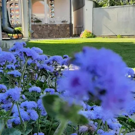 Lux Guest Housе мukachevo Holiday home