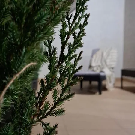 Lux Guest Housе мukachevo * Mukatjevo