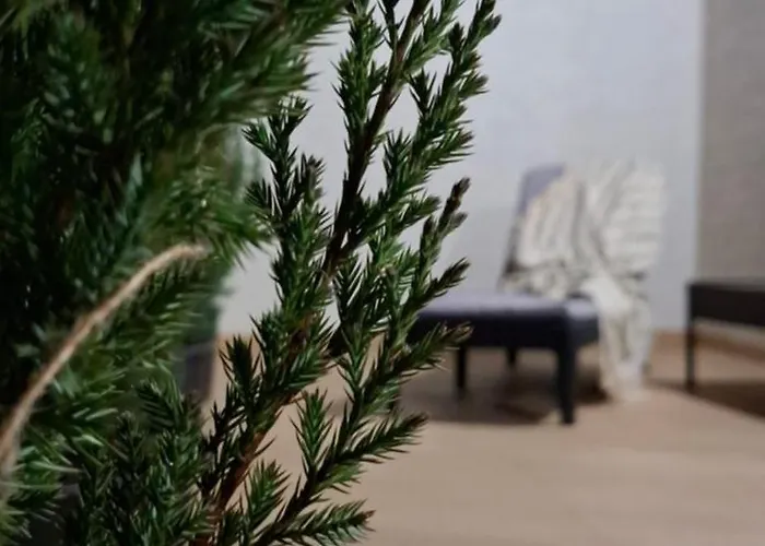 Lux Guest Housе мukachevo * Mukaçeve