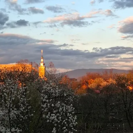 Casa vacanze Lux Guest Housе мukachevo Mukačevo